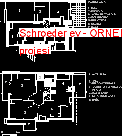 Schroeder ev Autocad Çizimi