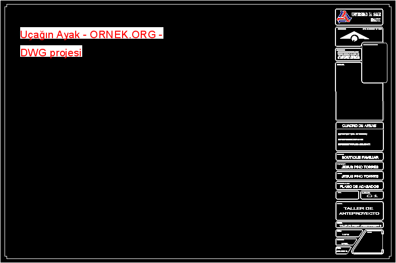 Uçağın Ayak Autocad Çizimi