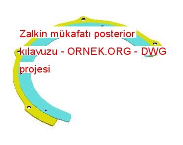 Zalkin mükafatı posterior kılavuzu Autocad Çizimi